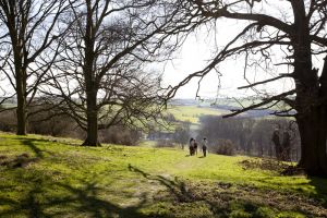 Hardwick Hall 7 sm.jpg